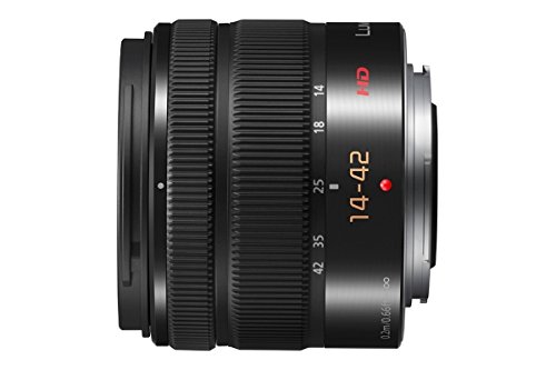 Panasonic LUMIX G VARIO 14-42mm / F3.5-5.6 II ASPH. / MEGA O.I.S.